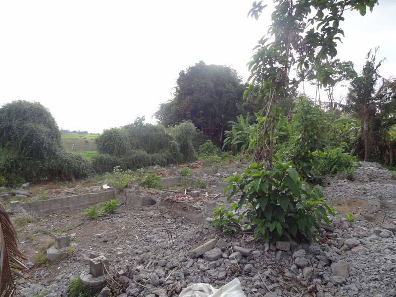 FLCanggu64  |  Indo Investments